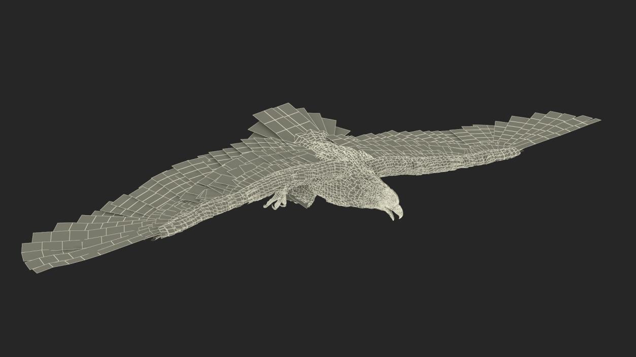 Flying Bald Eagle 3D