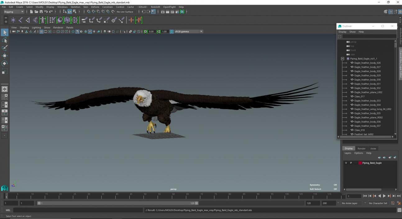 Flying Bald Eagle 3D