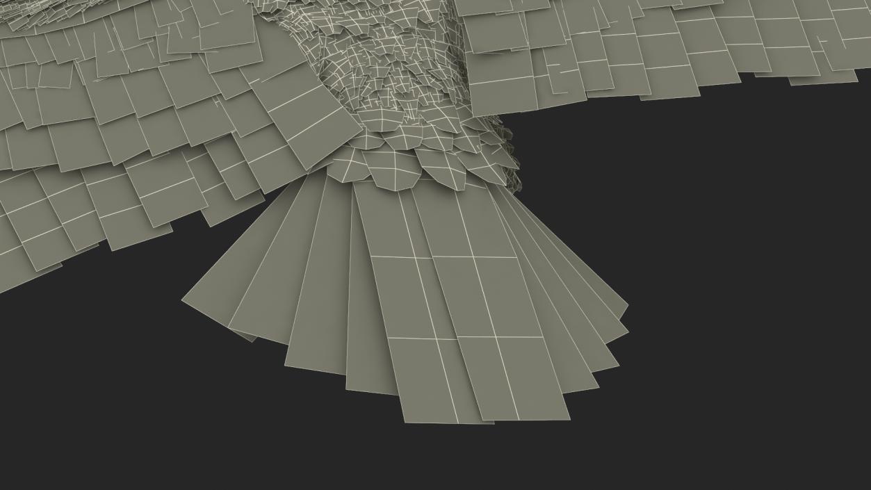 Flying Bald Eagle 3D