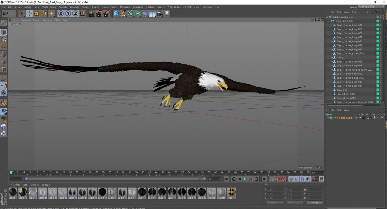 Flying Bald Eagle 3D