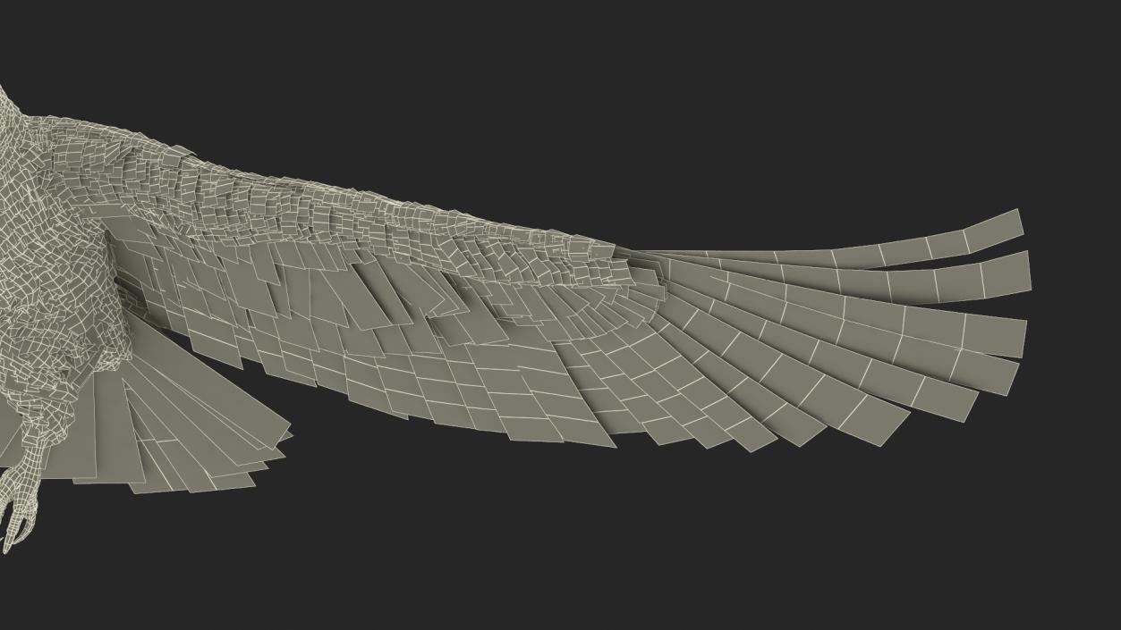 Flying Bald Eagle 3D