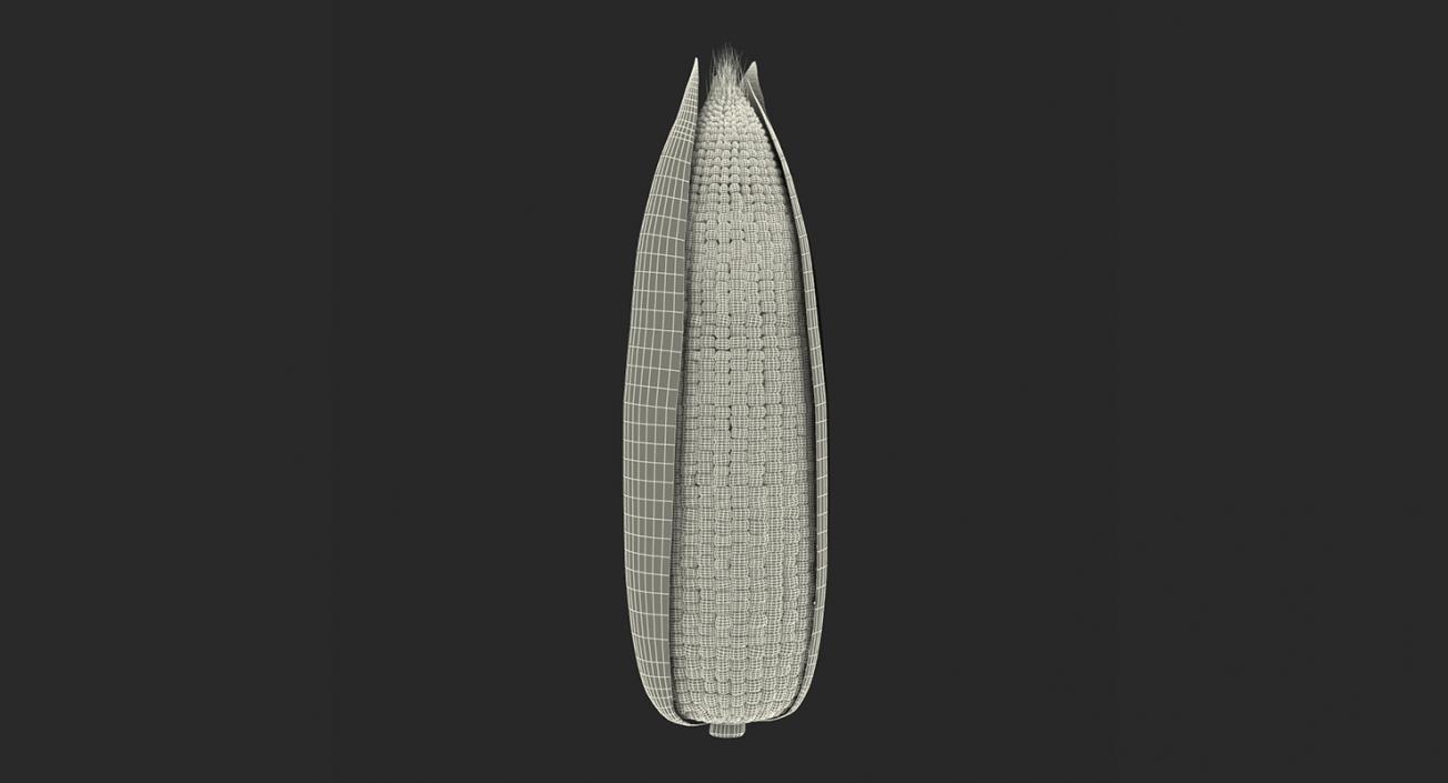 Corn Collection 2 3D