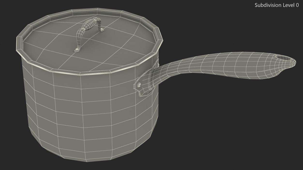 Stainless Steel Saucepan 3D model