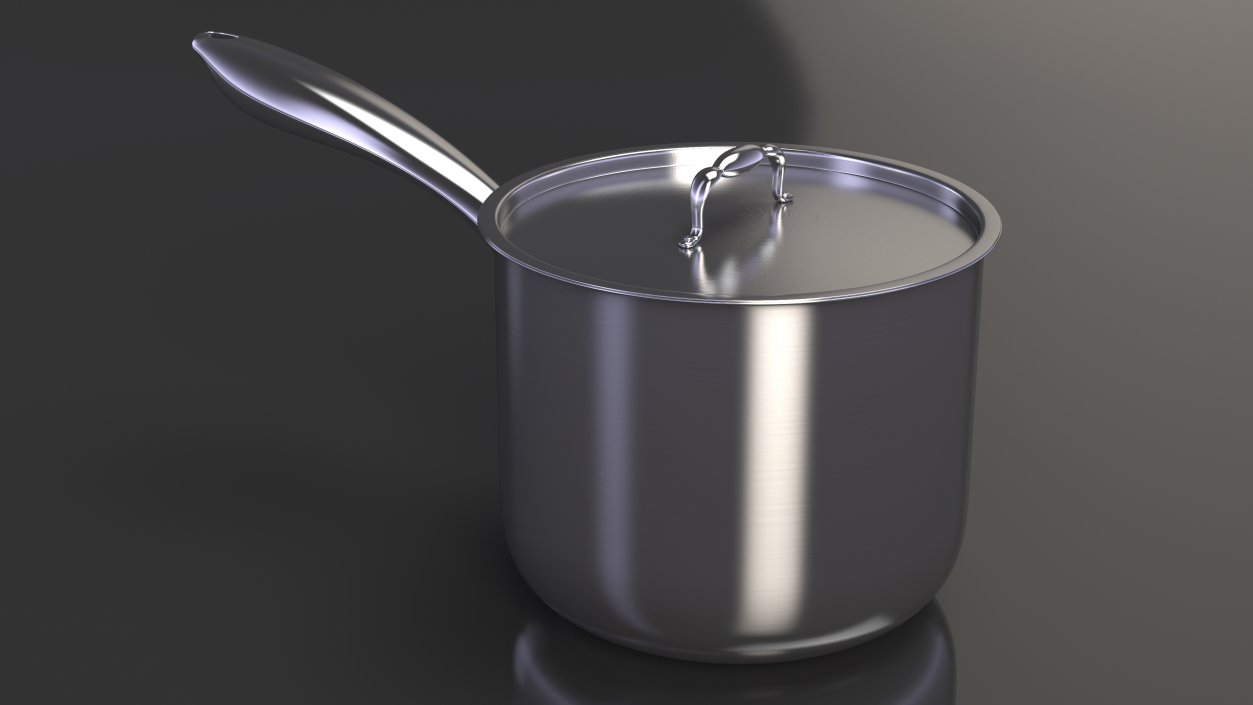 Stainless Steel Saucepan 3D model