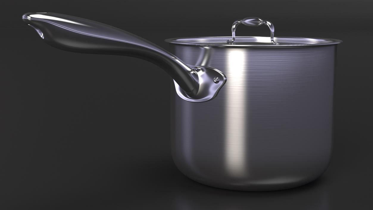 Stainless Steel Saucepan 3D model