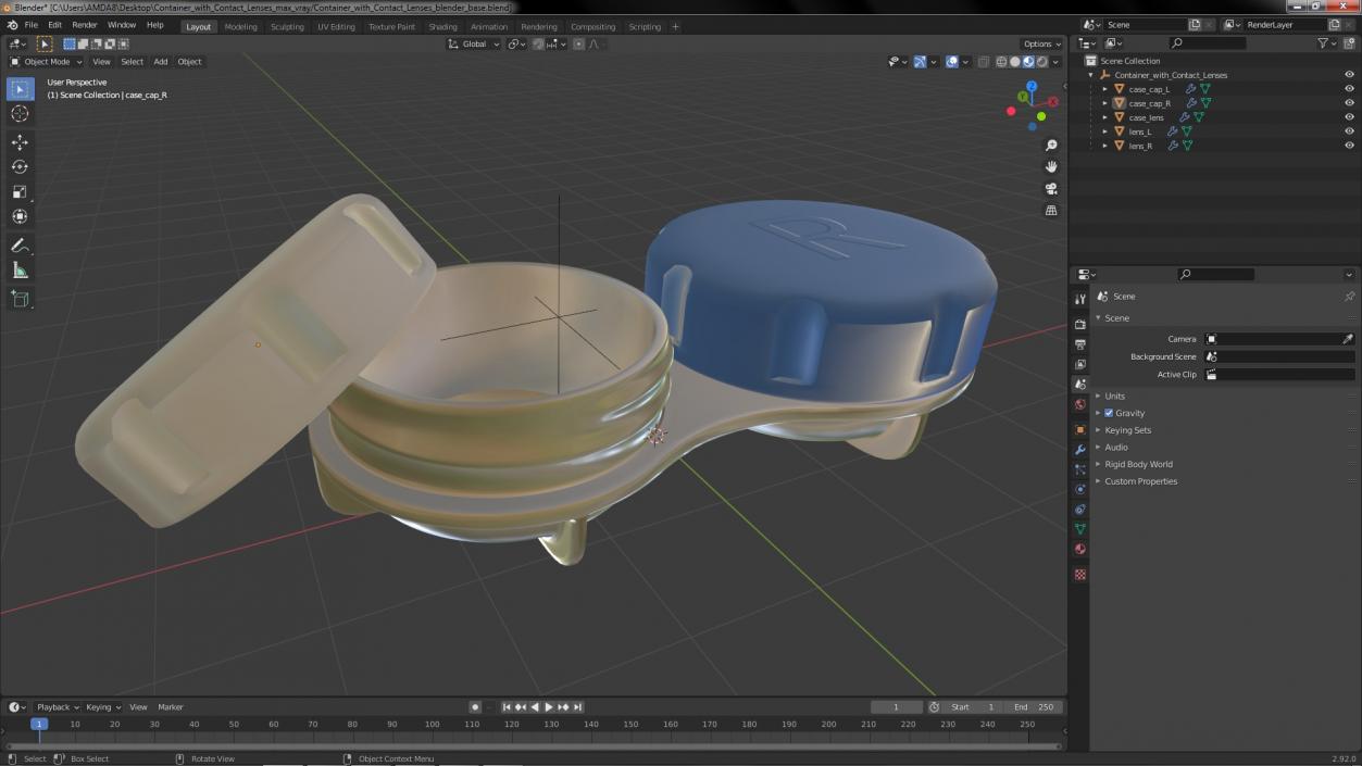 Container with Contact Lenses 3D model