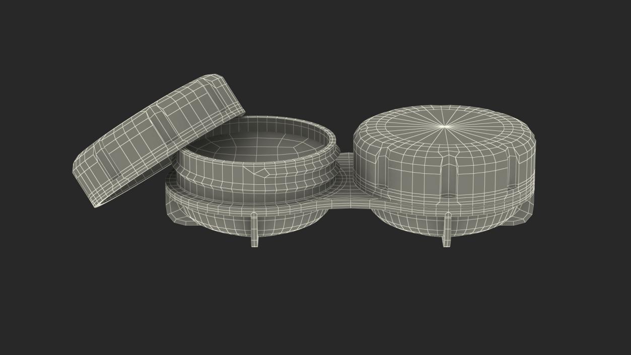 Container with Contact Lenses 3D model