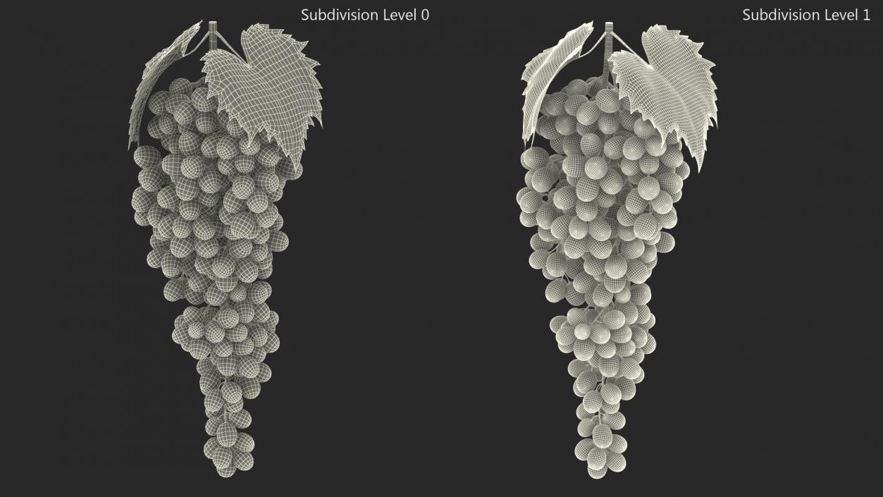 3D model Red Sultana Grape Cluster