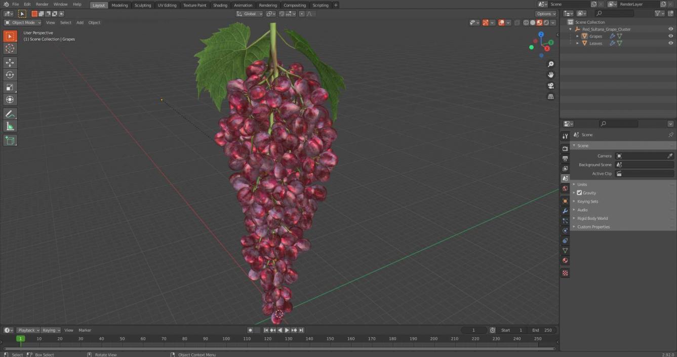 3D model Red Sultana Grape Cluster