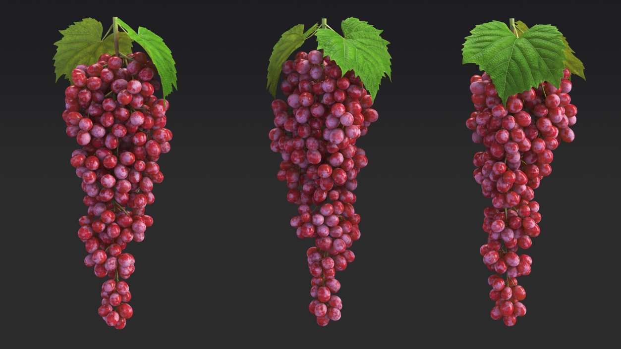 3D model Red Sultana Grape Cluster