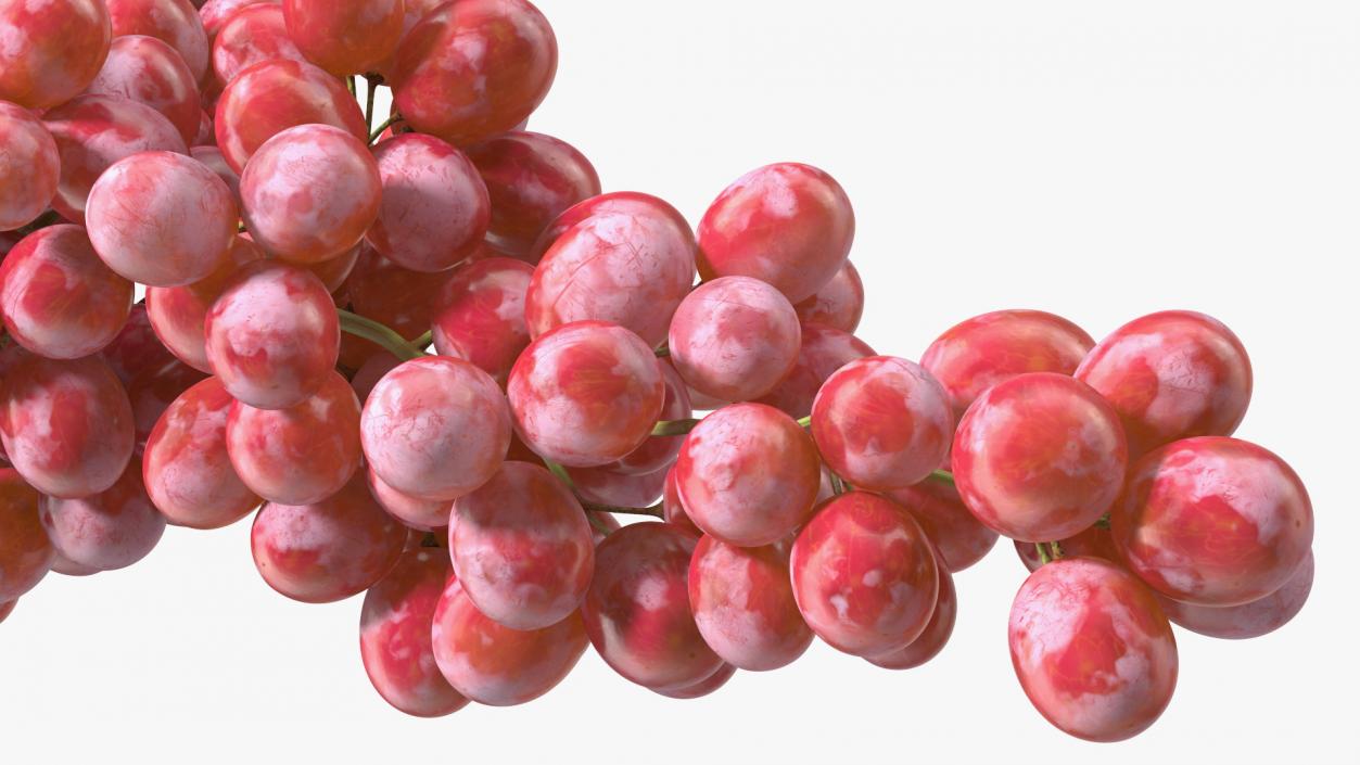 3D model Red Sultana Grape Cluster