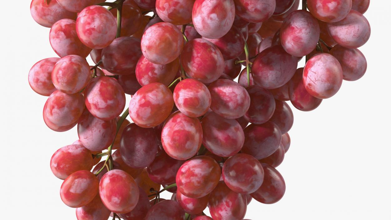 3D model Red Sultana Grape Cluster