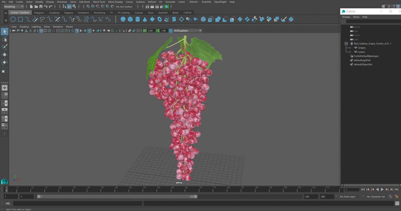 3D model Red Sultana Grape Cluster