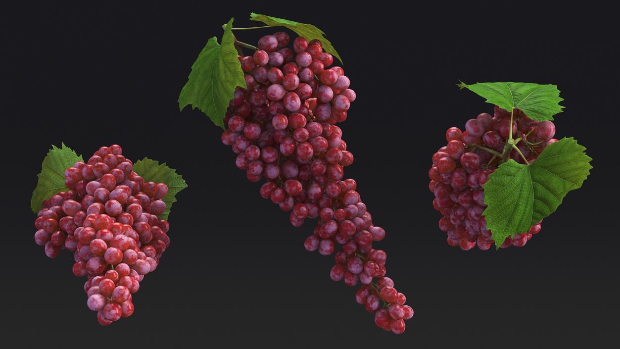 3D model Red Sultana Grape Cluster