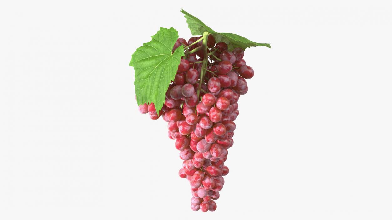 3D model Red Sultana Grape Cluster