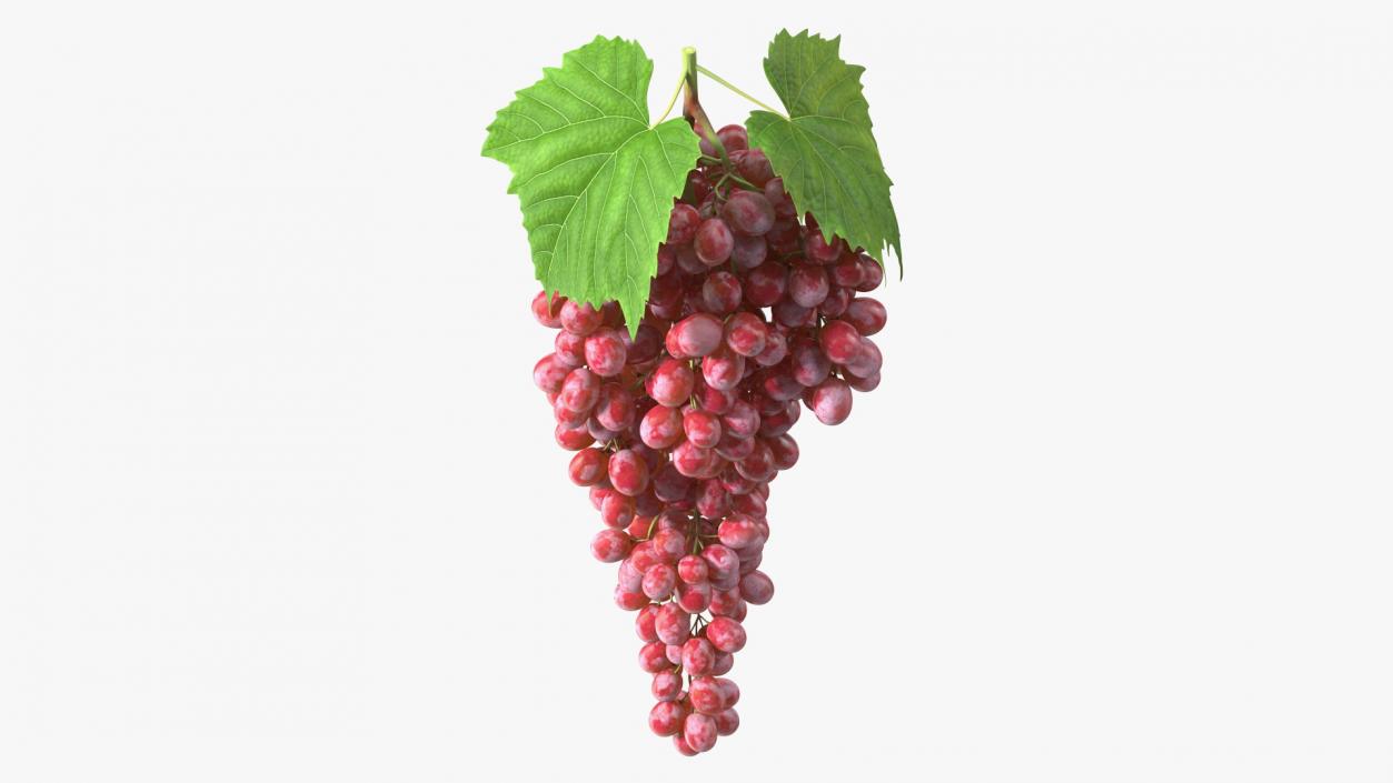 3D model Red Sultana Grape Cluster