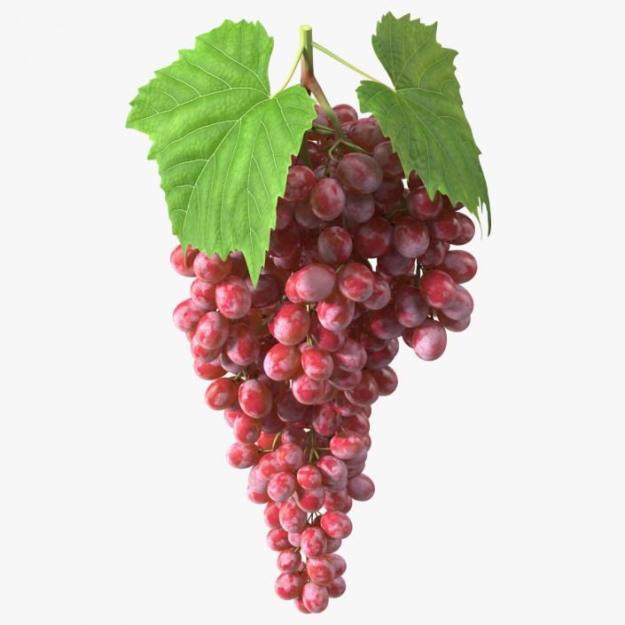 3D model Red Sultana Grape Cluster