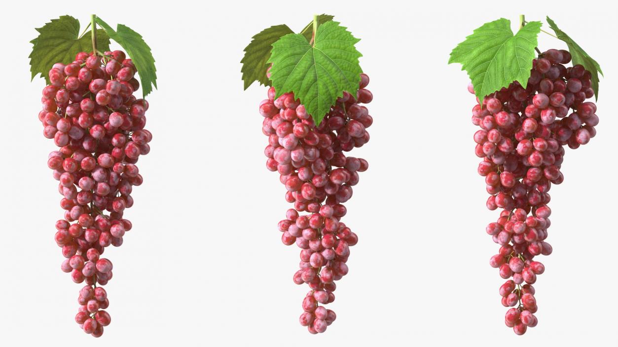 3D model Red Sultana Grape Cluster