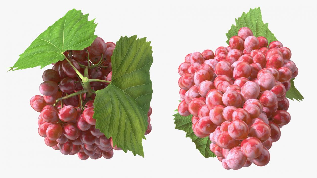 3D model Red Sultana Grape Cluster