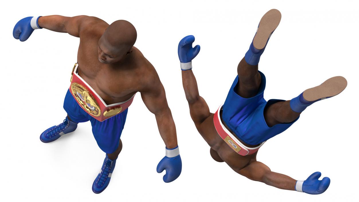 3D International Boxing Federation Champion Rigged for Cinema 4D