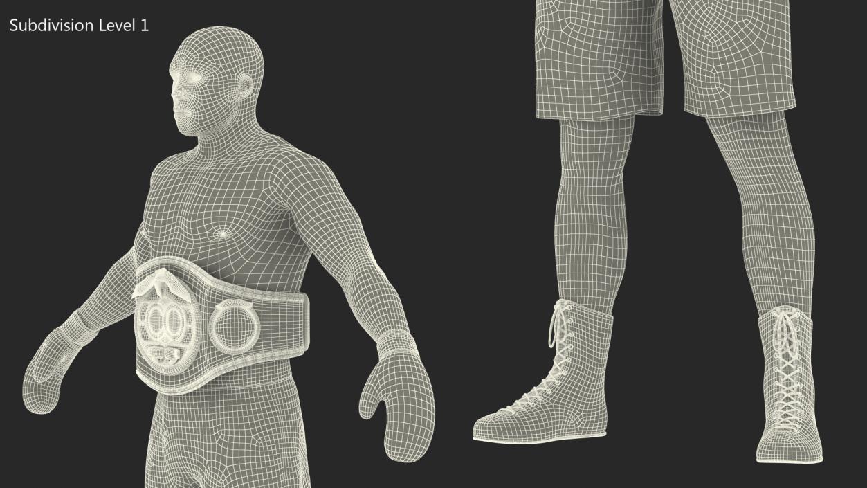 3D International Boxing Federation Champion Rigged for Cinema 4D