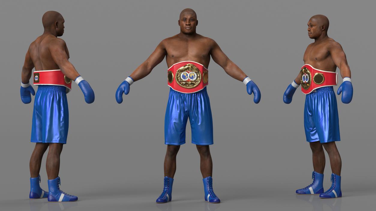 3D International Boxing Federation Champion Rigged for Cinema 4D