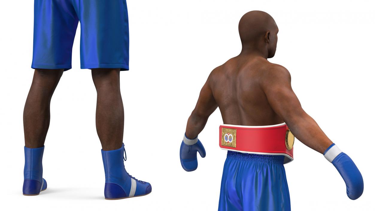 3D International Boxing Federation Champion Rigged for Cinema 4D