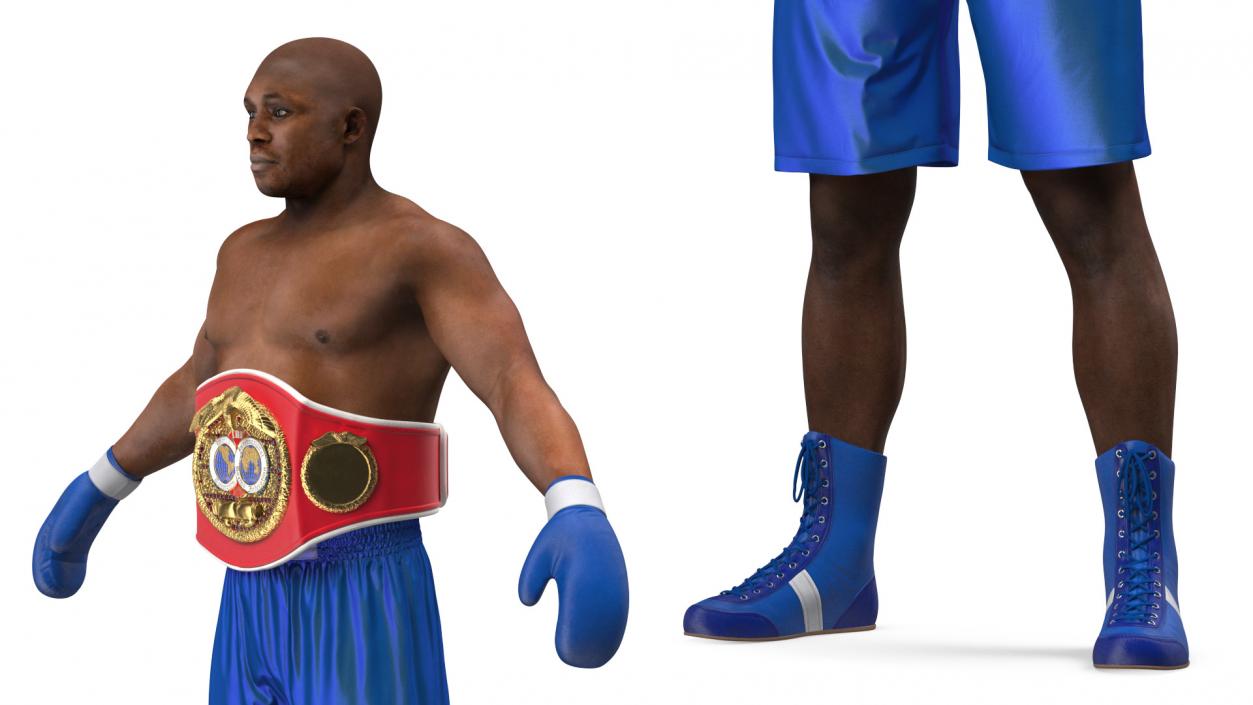 3D International Boxing Federation Champion Rigged for Cinema 4D