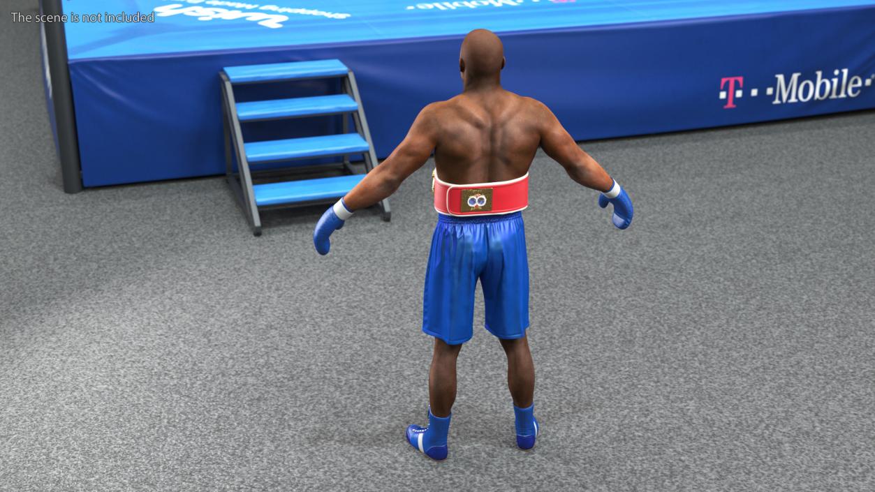 3D International Boxing Federation Champion Rigged for Cinema 4D