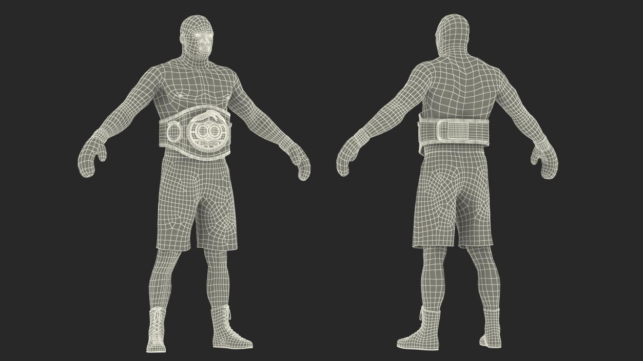 3D International Boxing Federation Champion Rigged for Cinema 4D