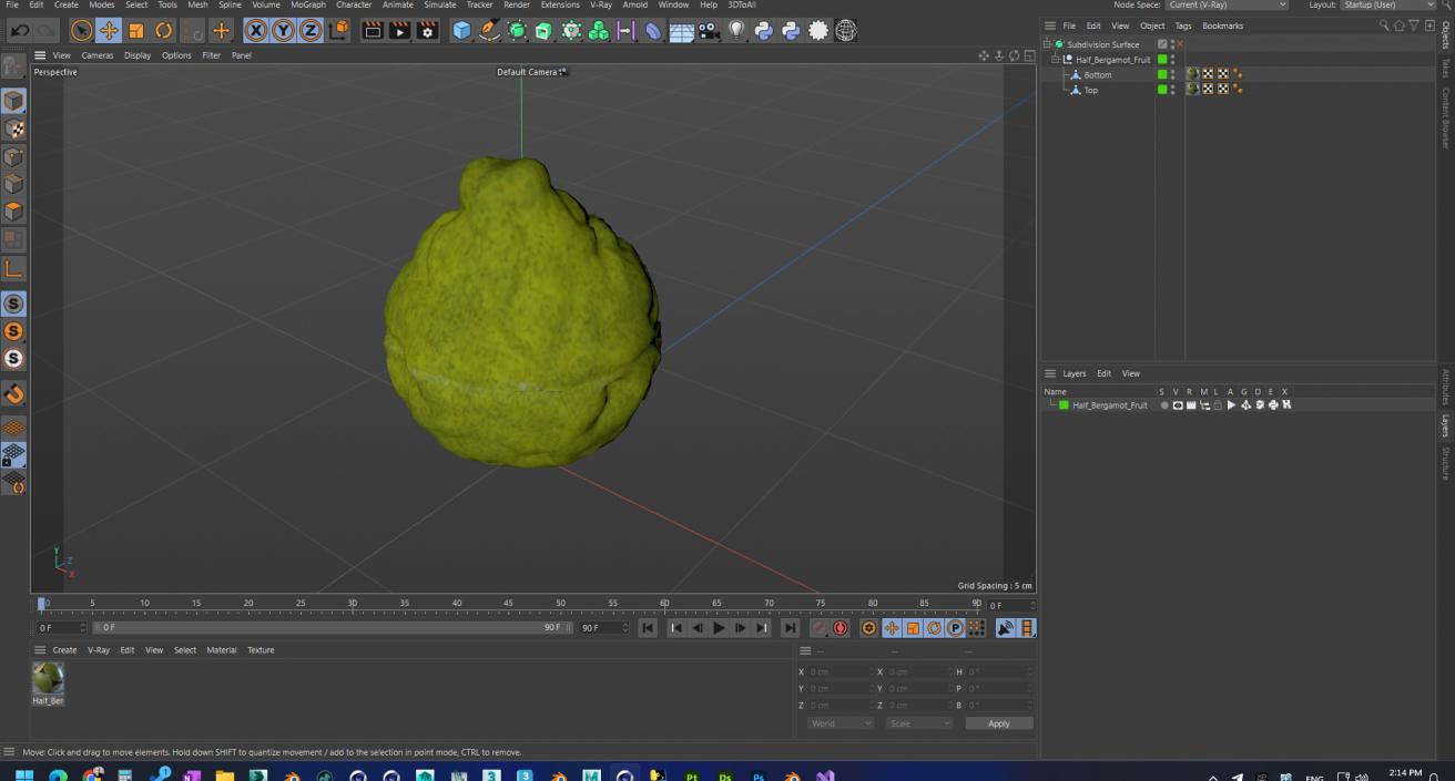 Half Bergamot Fruit 3D model