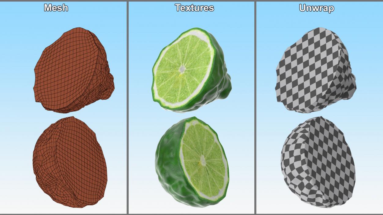 Half Bergamot Fruit 3D model