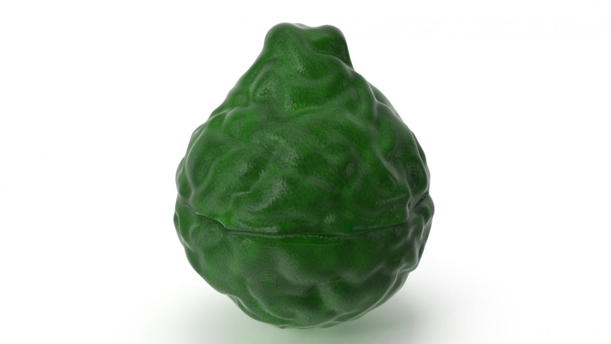 Half Bergamot Fruit 3D model