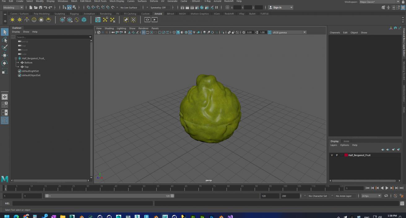 Half Bergamot Fruit 3D model