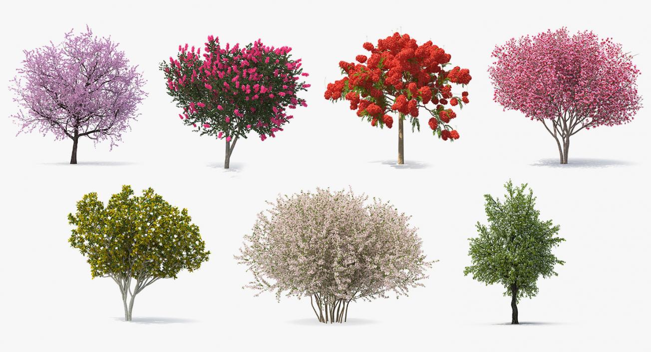 Flowering Bushes and Trees Collection 4 3D model