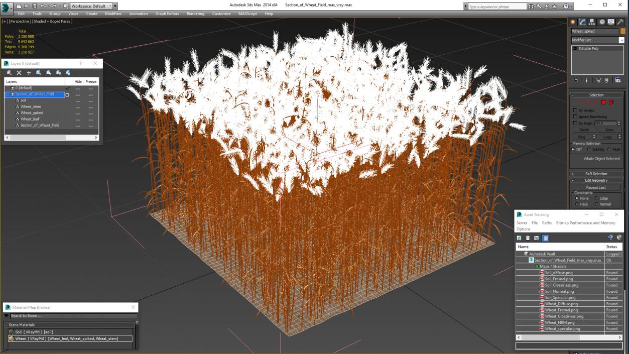 Section of Wheat Field 3D