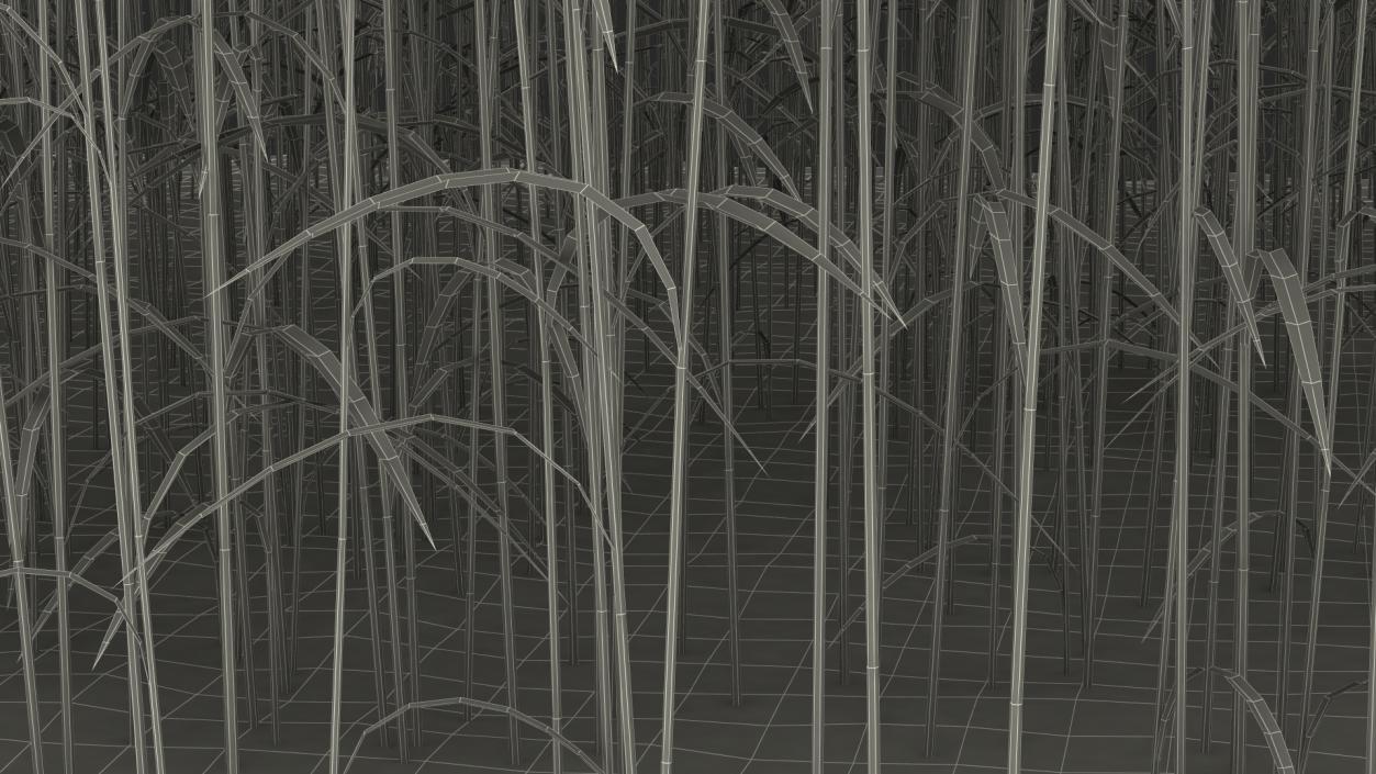 Section of Wheat Field 3D