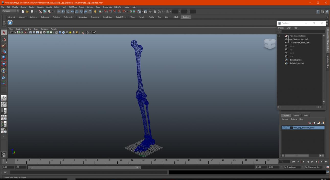 Male Leg Skeleton 3D