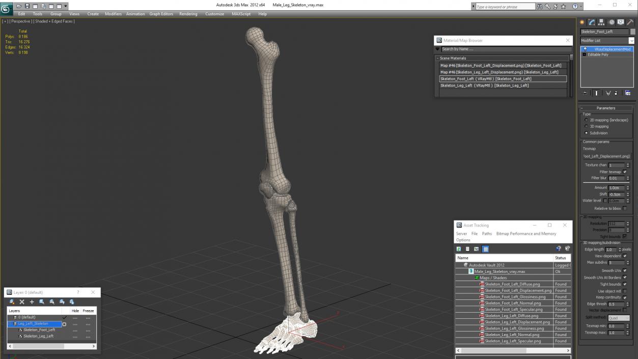 Male Leg Skeleton 3D