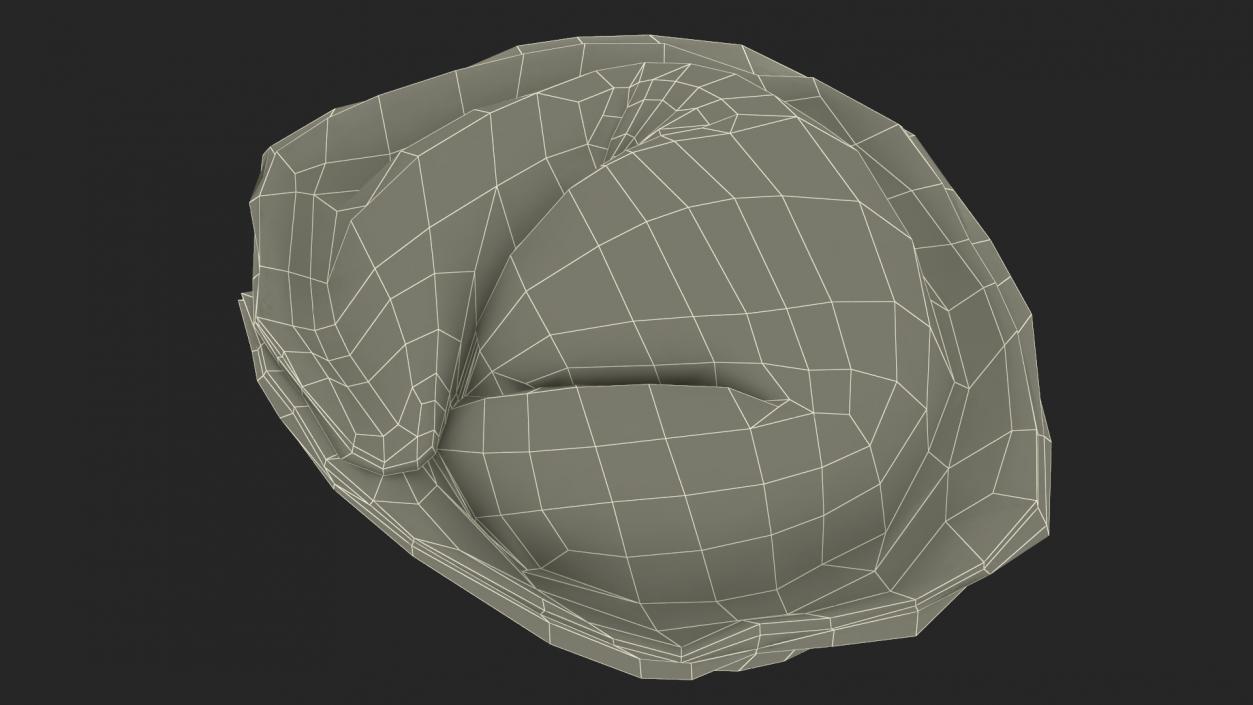 3D model Pelmeni Dumpling Raw