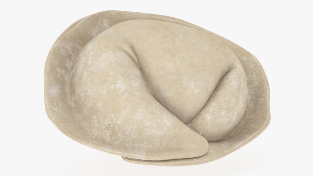 3D model Pelmeni Dumpling Raw