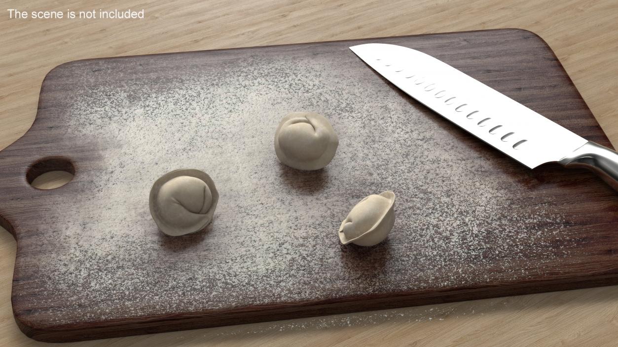 3D model Pelmeni Dumpling Raw