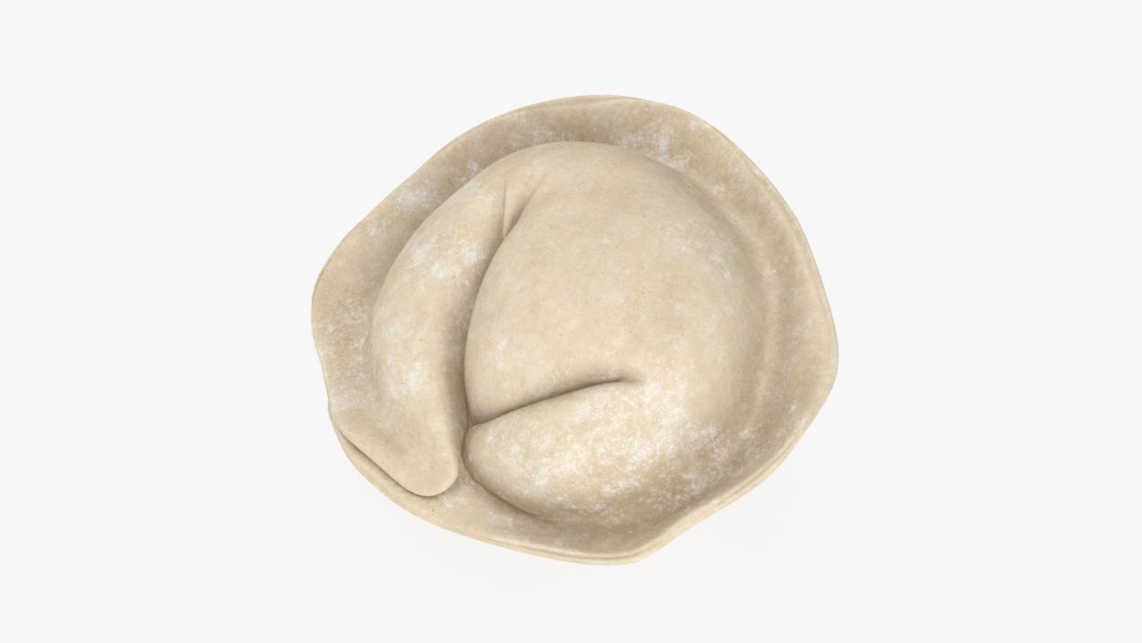 3D model Pelmeni Dumpling Raw