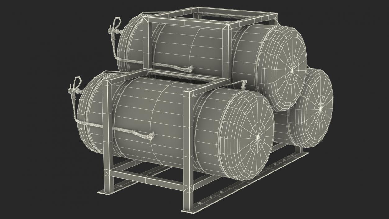 Beer Storage Tank System 3D model