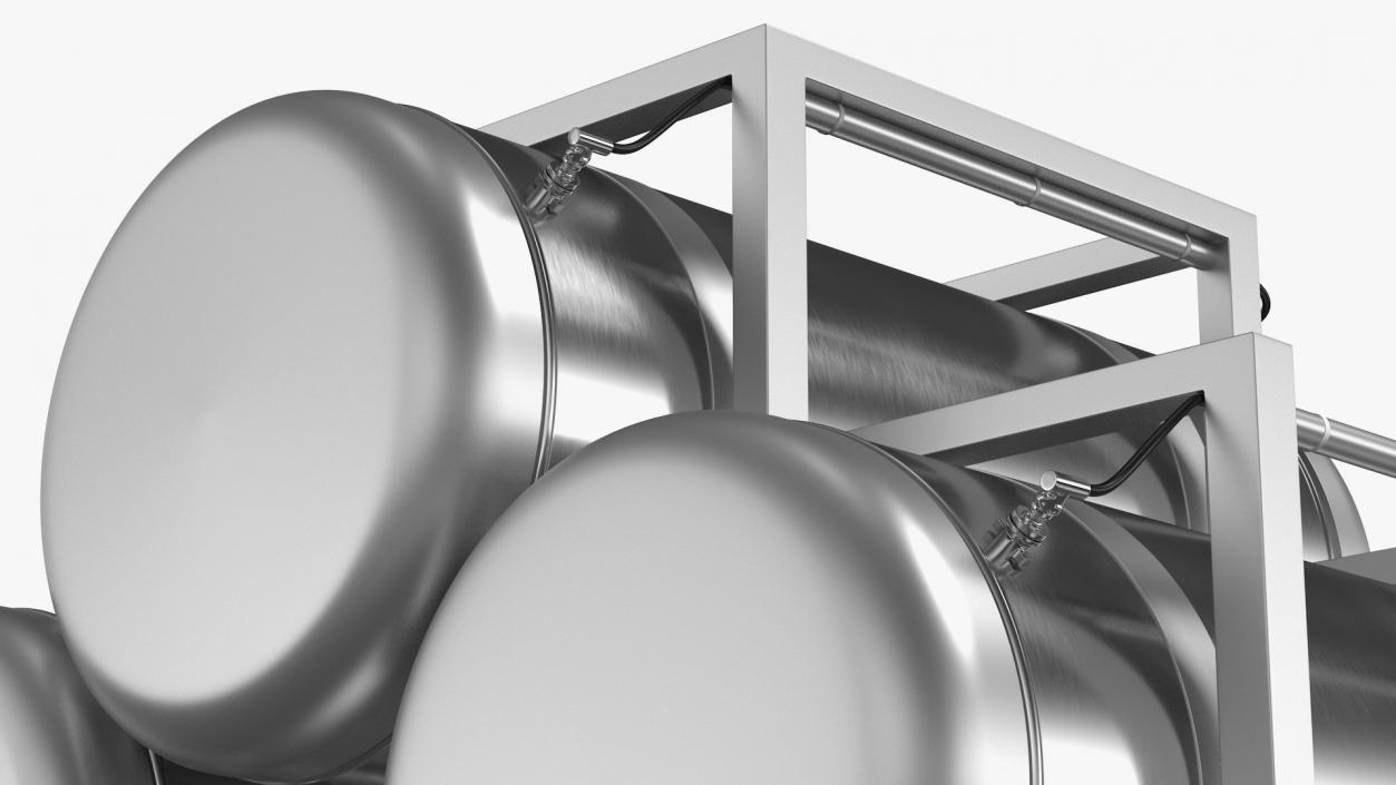 Beer Storage Tank System 3D model