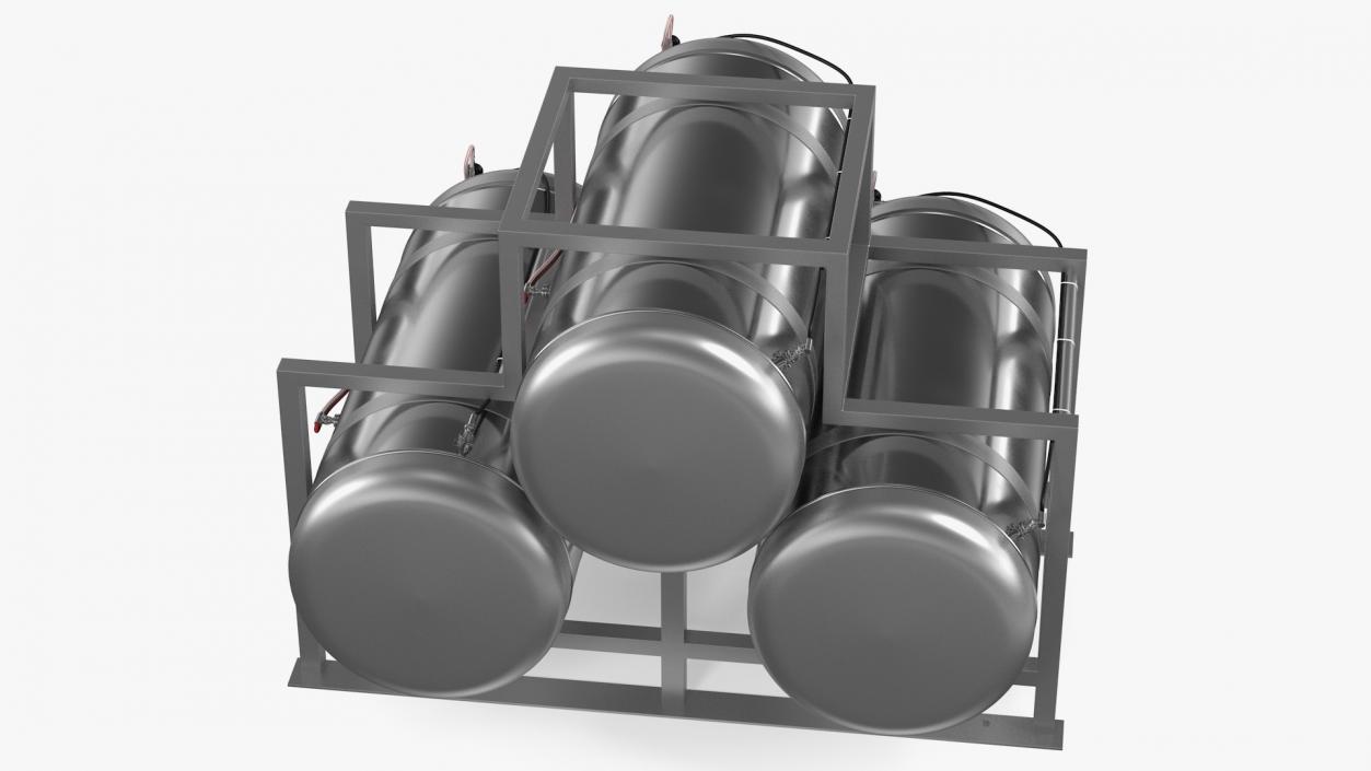 Beer Storage Tank System 3D model