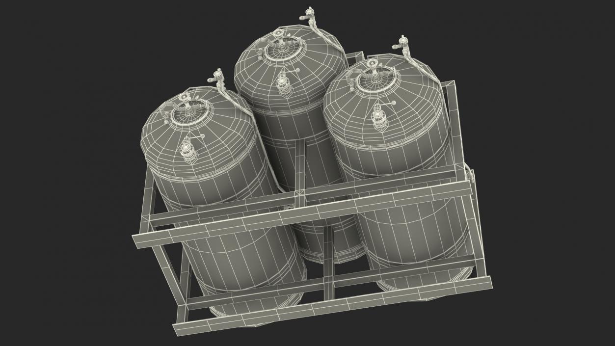 Beer Storage Tank System 3D model