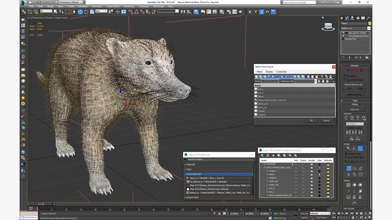 Nasua Mammal Basic Pose Fur 3D