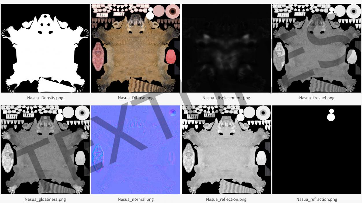 Nasua Mammal Basic Pose Fur 3D
