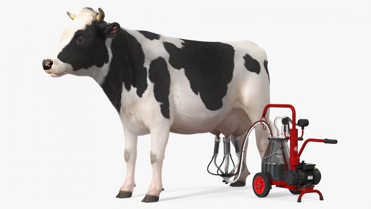 Dairy Cow with Milking Machine Fur 3D model